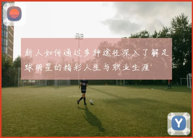 新人如何通过多种途径深入了解足球明星的精彩人生与职业生涯