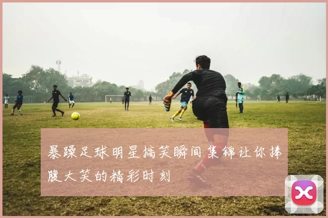 暴躁足球明星搞笑瞬间集锦让你捧腹大笑的精彩时刻