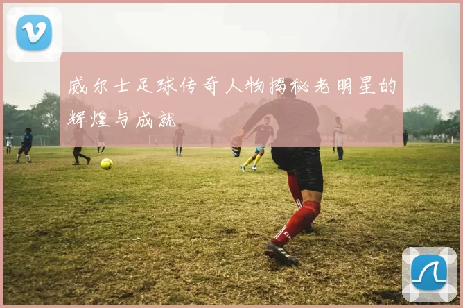 威尔士足球传奇人物揭秘老明星的辉煌与成就