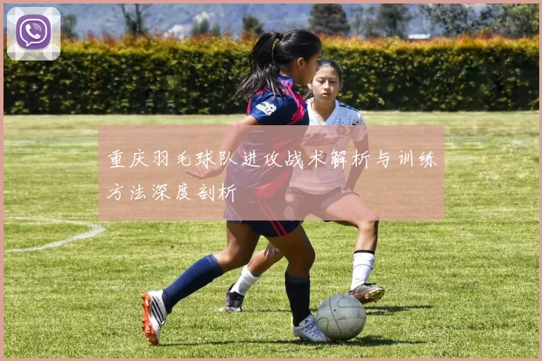 重庆羽毛球队进攻战术解析与训练方法深度剖析
