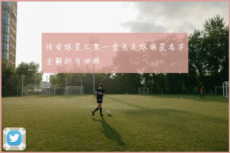 传奇球星汇聚一堂老足球明星名字全解析与回顾