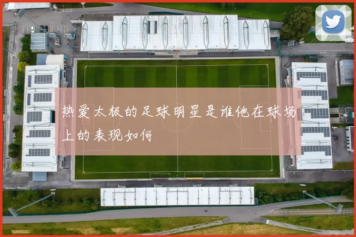 热爱太极的足球明星是谁他在球场上的表现如何