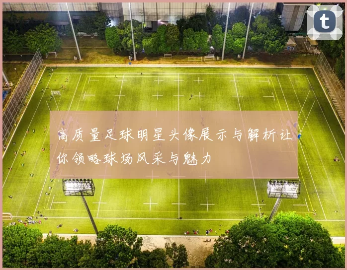 高质量足球明星头像展示与解析让你领略球场风采与魅力
